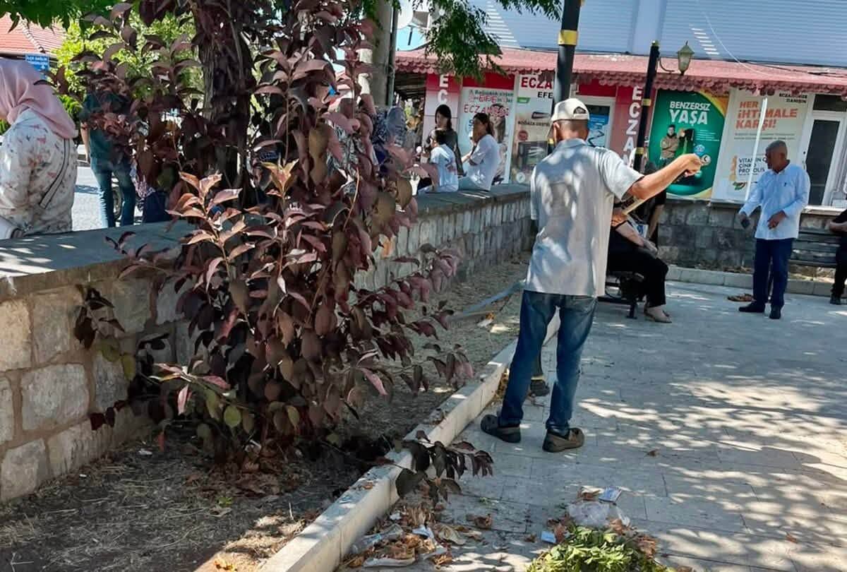 763191318 1659418528455811 6342672033058934549 N