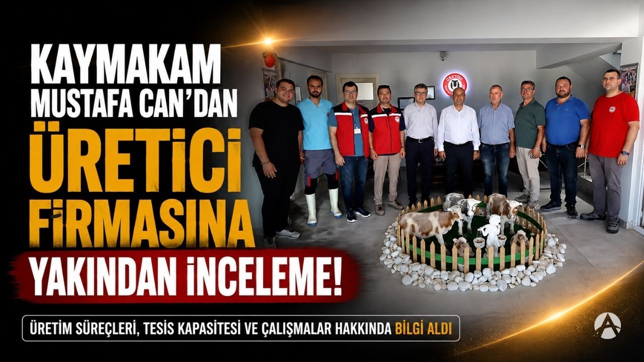 Güncel