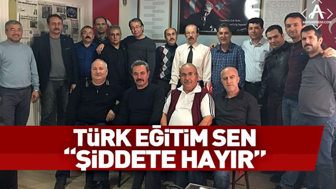 Türk Eğitim Sen "Şiddete Hayır"