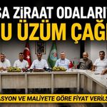 Manisa Ziraat Odaları’ndan Kuru Üzümde Adil Fiyat Çağrısı