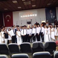 Kültür-Sanat