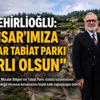 Siyaset