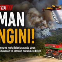 Güncel