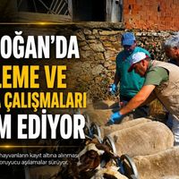 Tarım-Gıda