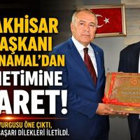 Siyaset