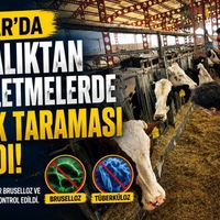 Tarım-Gıda