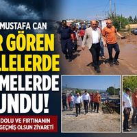Güncel