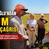 Güncel