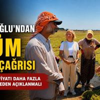 Güncel