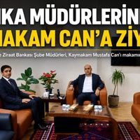 Güncel