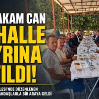 Güncel