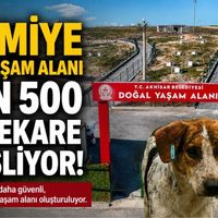 Güncel