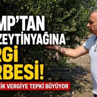 Güncel
