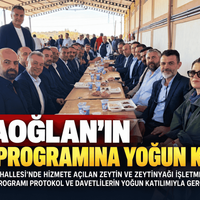 Güncel