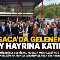 Siyaset