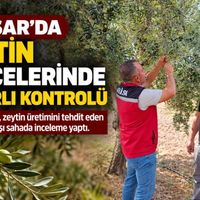 Güncel