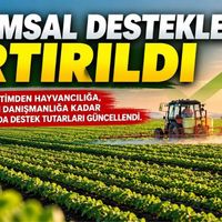 Güncel