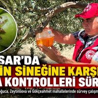 Güncel