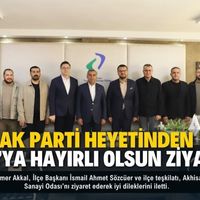 Siyaset