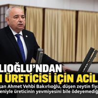 Siyaset