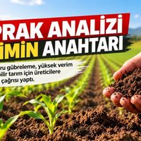 Tarım-Gıda