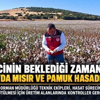 Tarım-Gıda