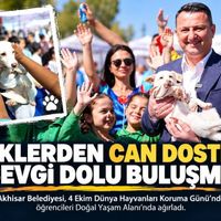 Güncel