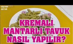 KREMALI MANTARLI TAVUK TARİFİ