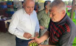 Bakırlıoğlu; "Zeytinde fiyatlar dip"