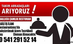 Ballıca Çamlık Restoran'a bay çalışma arkadaşları aranıyor