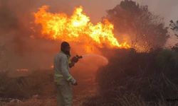 Akhisar'da orman yangını çıkaran 3 kişi yakalandı!