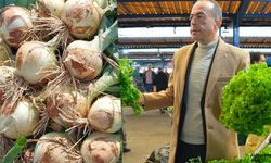 Soğan fiyatları daha ne kadar böyle devam edecek?
