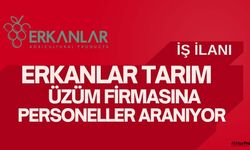 Makine Bakım Ustası aranıyor