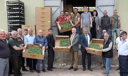 Akhisar’da çiftçilere yüzde 50 hibeli fide dağıtıldı