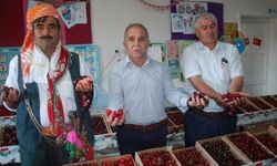 Börez Kiraz Festivali, renkli görüntülere sahne oldu!