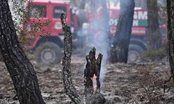 Akhisar Belediyesi, Çanakkale'de yangın söndürmeye destek veriyor!