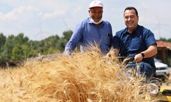 Akhisar Belediyesi’nden çiftçiye ücretsiz ata tohumu