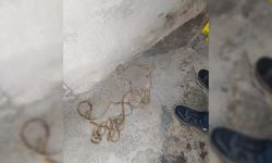 Akhisar'da polis, intihar eden şahsı son anda ipten aldı!