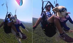 Akhisarlı Yasin Oflaz, 4 yıldır köpeğiyle birlikte uçuyor!