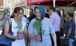 Akhisar Belediyesi, Vatandaşlara Ücretsiz Fesleğen Dağıttı