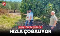 Mera Yönetim Birlikleri Hızla Çoğalıyor