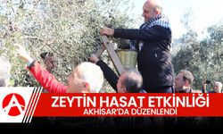 Akhisar'da zeytin hasat etkinliği düzenledi