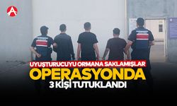 Sentetik hapları ormanlık alana saklamışlar