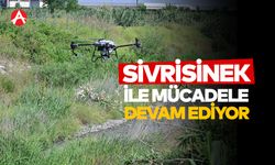 Manisa Büyükşehir Belediyesi’nden Sivrisinek ve Haşerelere Karşı Yoğun Mücadele