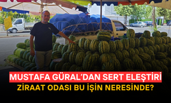 Güral; “Rekolte Bol, Fiyatlar Dipte: Üretici Perişan”