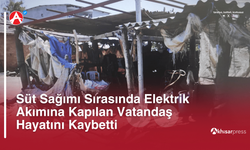 Süt Sağımı Sırasında Elektrik Akımına Kapılan Vatandaş Hayatını Kaybetti