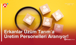 Erkanlar Üzüm Tarım Üretim Personeli Arıyor