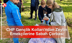 CHP Gençlik Kolları'ndan Zeytin Emekçilerine Sabah Çorbası