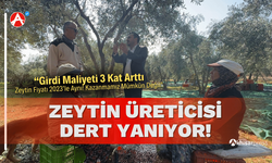 Zeytin Üreticilerinin Feryadı: "Girdi Maliyeti 3 Kat Arttı, Zeytin Fiyatı 2023’le Aynı!