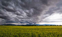 Manisa ve Akhisar İçin Kuvvetli Rüzgar ve Fırtına Uyarısı